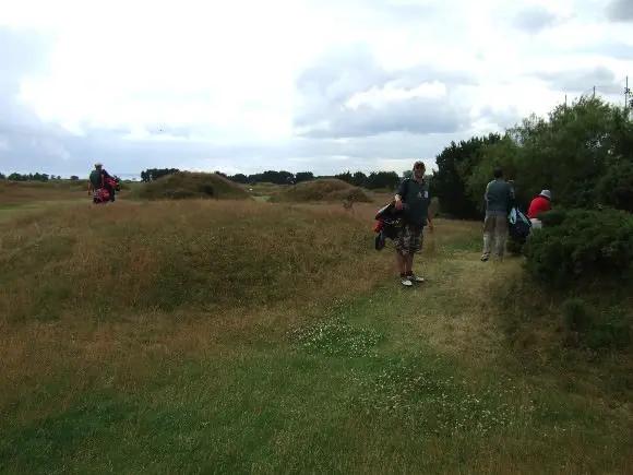 苦労する椛ちゃん